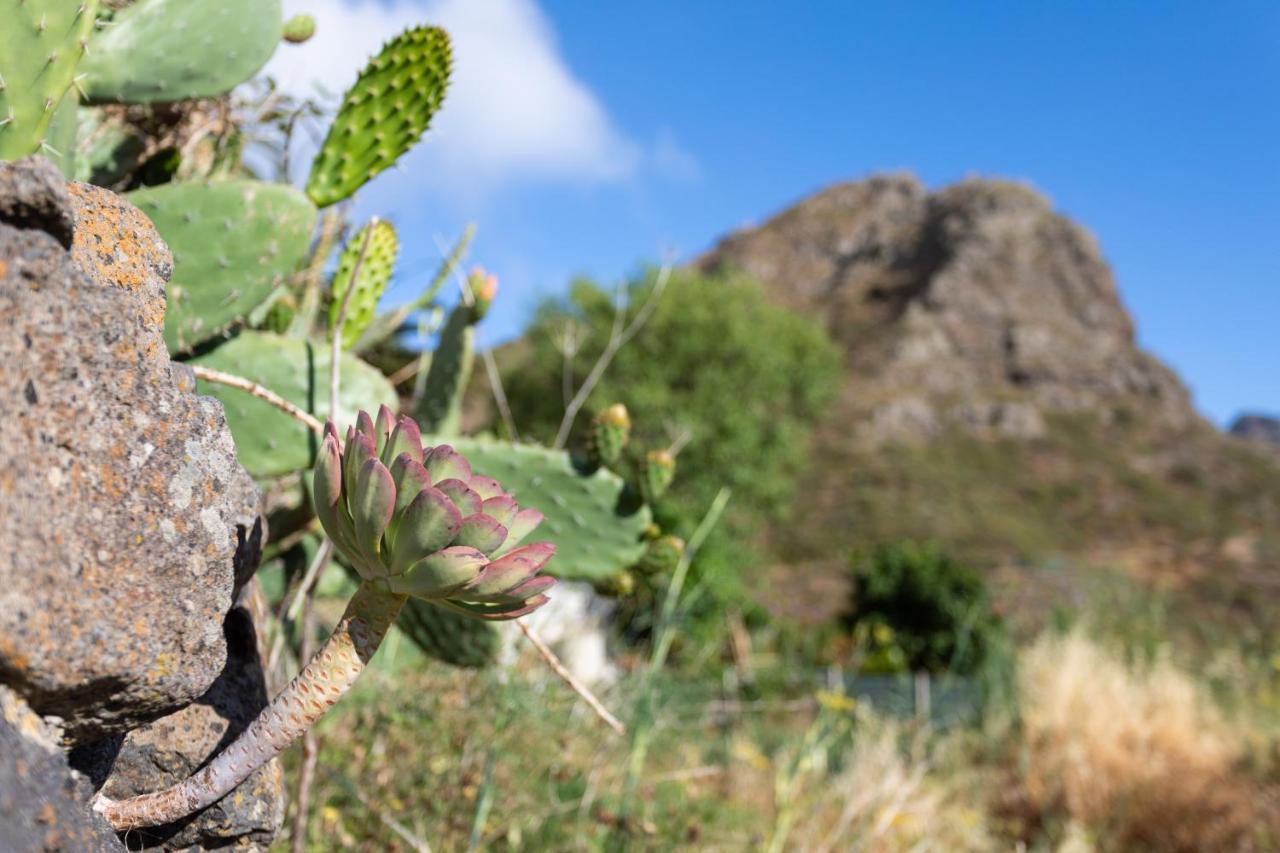 Home2Book Nature Carrizales&Masca House&Wifi Buenavista Del Norte Exterior foto